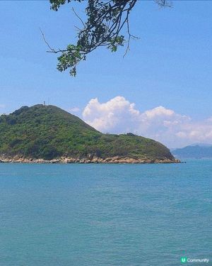 西環｜西環碼頭⛵️