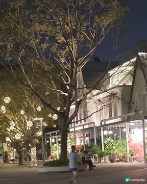 深圳荷蘭花卉小鎮