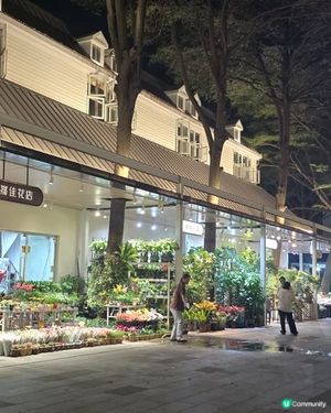 深圳荷蘭花卉小鎮