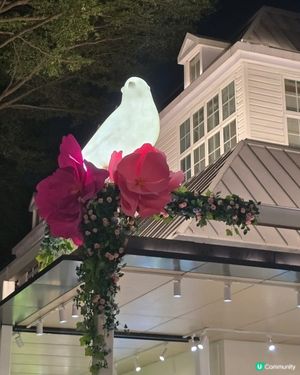深圳荷蘭花卉小鎮