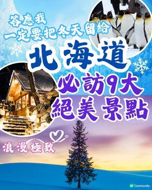 北海道冬季必訪9大絕美景點☃️浪漫點燈/雪祭/動物園❄️附交通🇯🇵