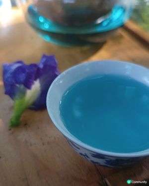 夢幻花茶🌌