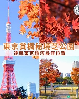 芝公園!遠眺東京鐵塔🗼最佳位置!