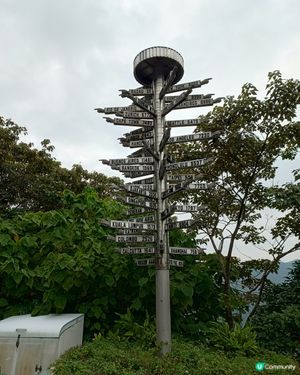 向左走⬅️向右走➡️