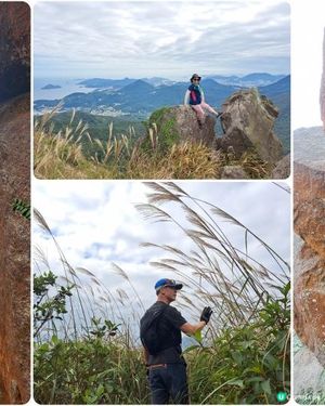 《大水坑至沙田小瀝源行山篇》茅坪古道、黃竹山古道、天窗石、黃牛石城