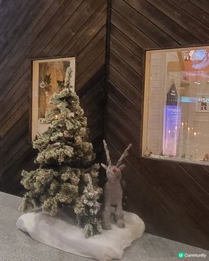 芬蘭赫爾辛基機場的聖誕佈置