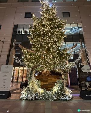 Blink blink 聖誕樹🌲