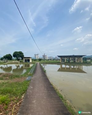 塱原自然生態公園預計在11月開放,但近日途經塱原濕地,發現公