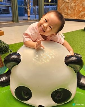 商場熊貓熱潮🐼