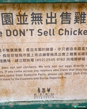 搞笑😅