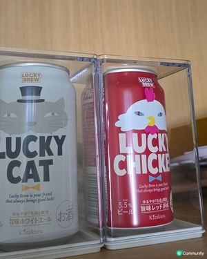 只作擺設的啤酒🍻🍺