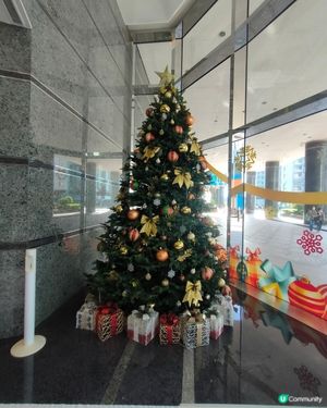 🎄中型聖誕樹打卡位！小朋友最愛！🤩