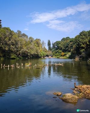 深圳仙湖植物園
