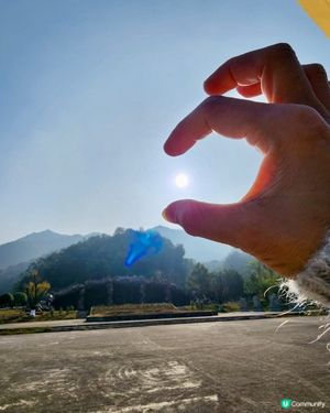 冬日的晨曦☀️