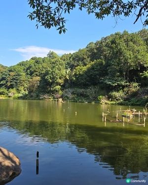 深圳仙湖植物園