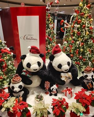 🎄🐼🎄