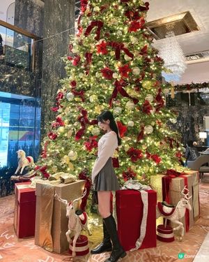 香港最漂亮的聖誕樹在這♥️🎄