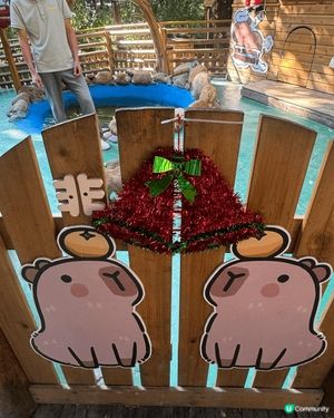 深圳WOWO窩窩萌寵森友會（世界之窗店）有很多動物也可餵飼，