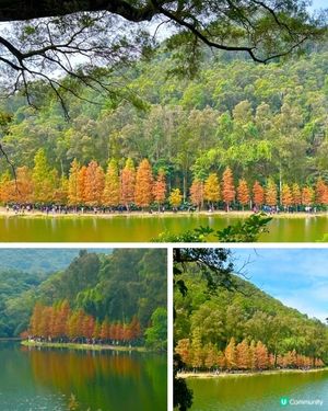 冬日限定熱門行山路徑 — 流水響