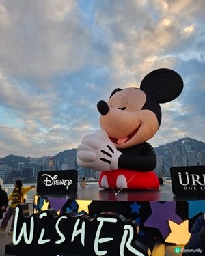 Lcx Micky 