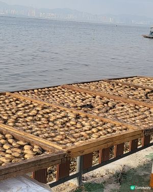 流浮山海產