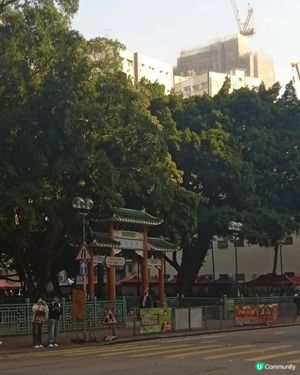 油麻地廟街