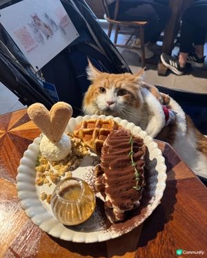 元朗隱世cafe