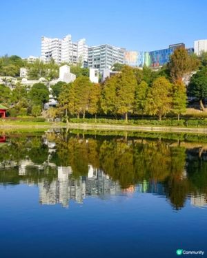 欣賞湖景