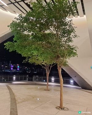 戲曲中心食一食