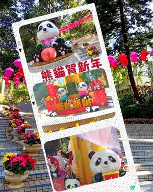 熊貓賀農曆新年