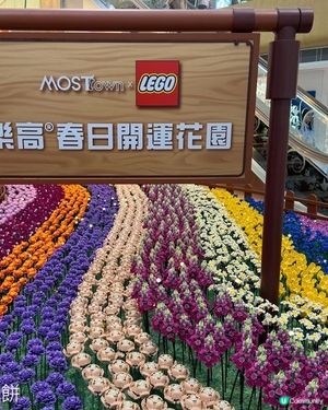 香港好去處 | 新春商場佈置 | MOSTown新港城中心 | 又一城