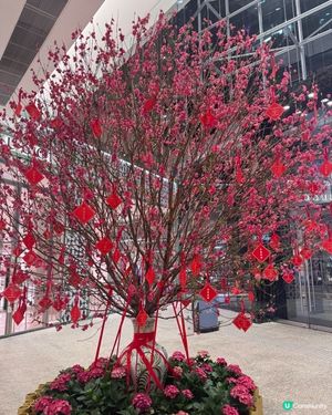 桃花賀新春