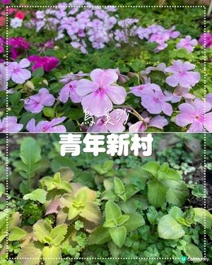 假日休閒遊