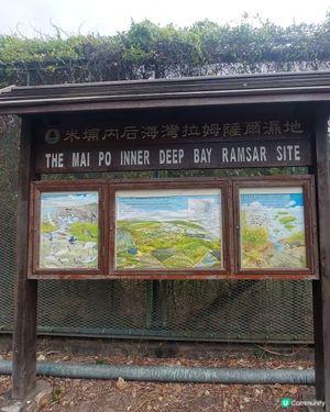 拉姆薩爾濕地