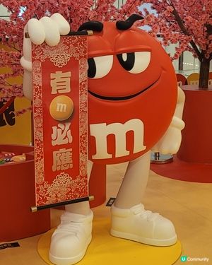 LCX X M&MS