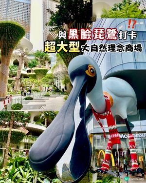 ✨深圳🇨🇳-⚠️💬超巨大黑臉琵鷺⁉️💢親子好去處📸📍坂田萬科廣場