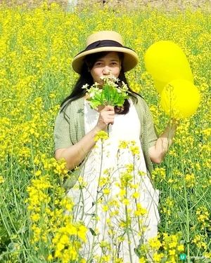 油菜花田