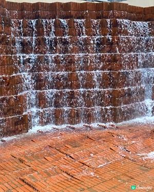 ## 彌敦道界限街，鬧市綠洲 🌳💦