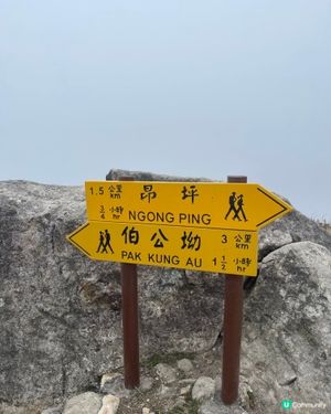 挑戰全港第二大山⛰️