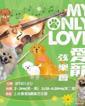 My Only Love 愛寵弦樂會