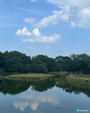 大家熟悉又陌生嘅打卡熱點:香港濕地公園🏞️🌿

點解係熟