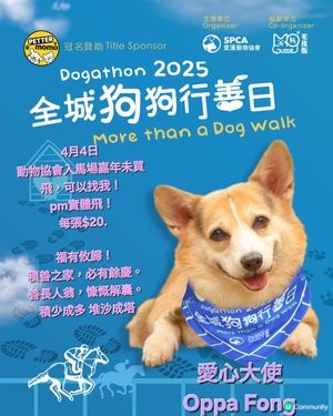 🐶 愛心大使招募中！ 💖