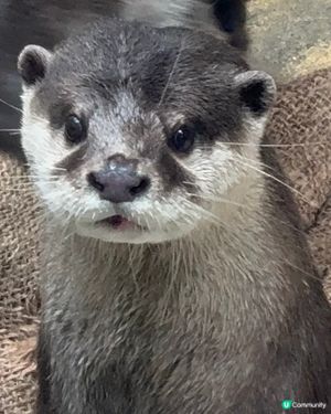 香港公園+動植物公園