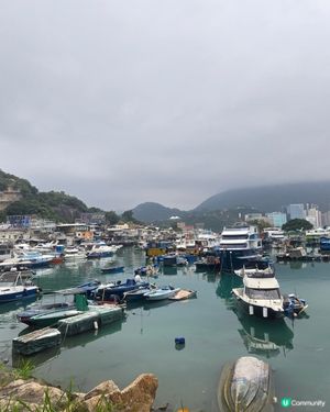 避風塘美景

UCreatorUCreator打卡美食打卡美