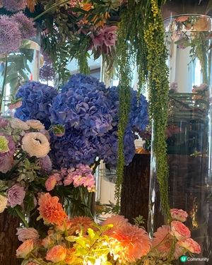 港島香格里拉酒店🌸📸  打卡影花天堂！