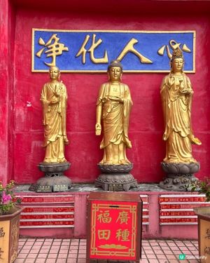 淨化人心