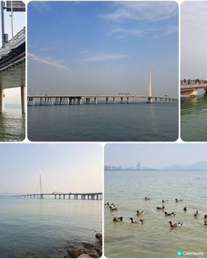 【深圳灣濱海綠道遊】深圳灣公園徒步至蛇口市場 ➕️ 蛇口市場