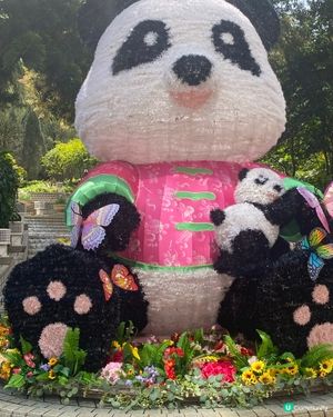 香港公園驚現熊貓🐼？！