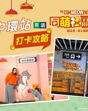 🇭🇰中環站《同萌社區》貓店長🐱攝影展📷打卡攻略