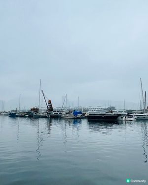 要影要把握最後機會